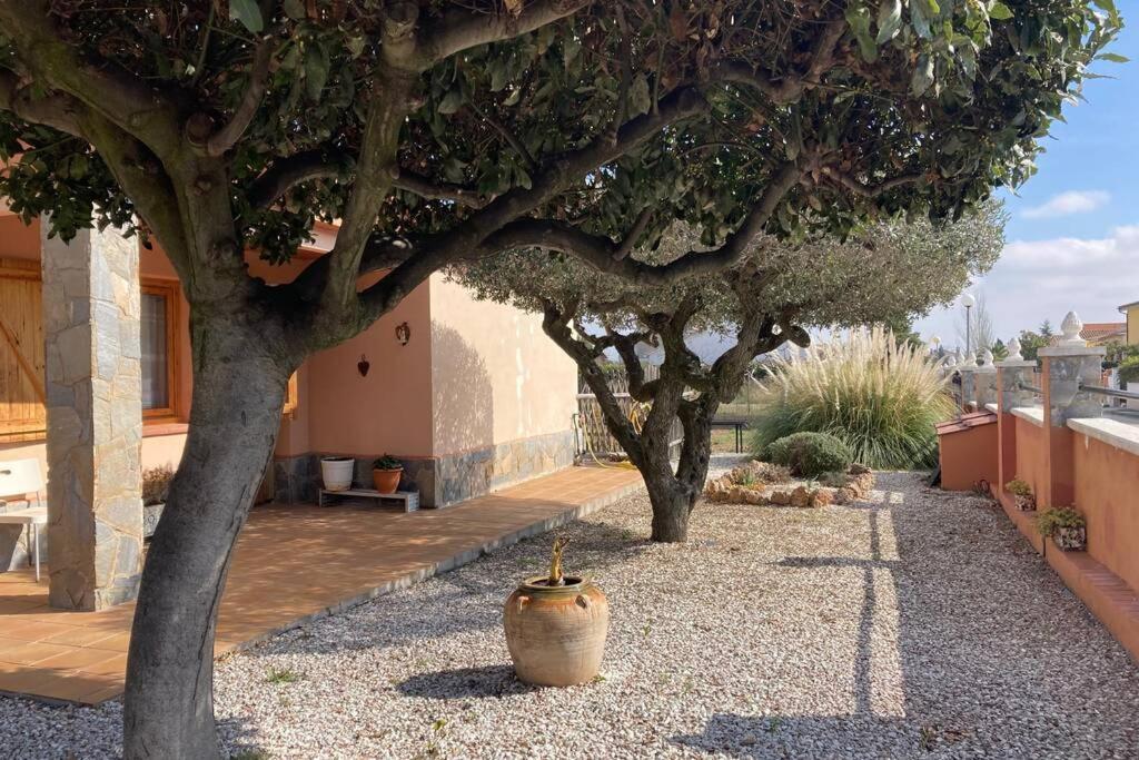 Vino Que Del Cielo Vino. Alt Penedes Villa San Quintín de Mediona Exterior photo
